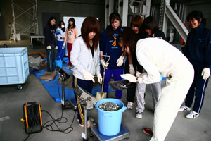 建築学科3年生 建築材料実験