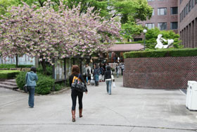 建築学科2年生の1週間:月曜日:スクールバス到着