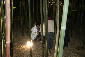 建築学科2年生フィールドワーク:2007年12月6日(木)甲子園会館ライトアップ