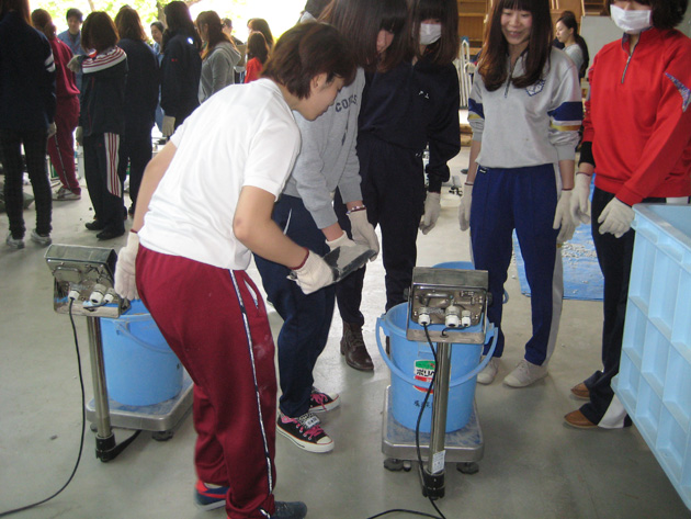 建築学科3年生 建築材料実験