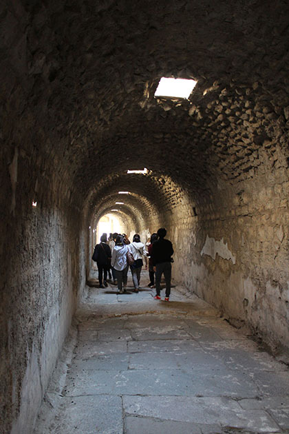 icsainistanbul2014