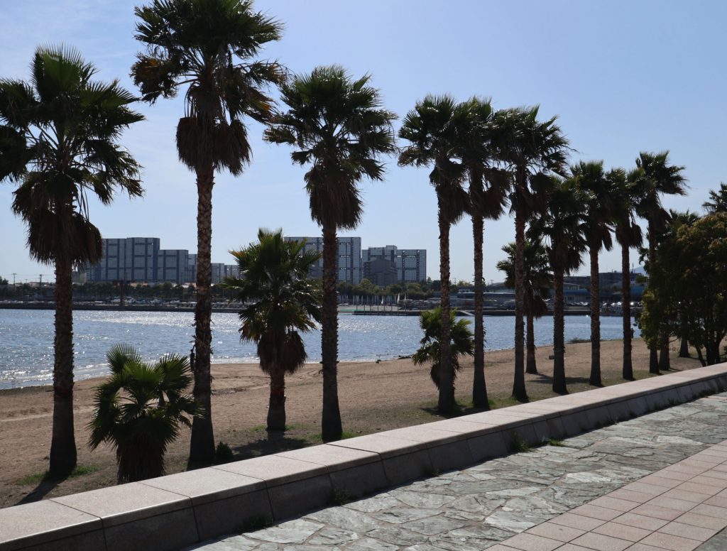 御前浜海浜公園の様子